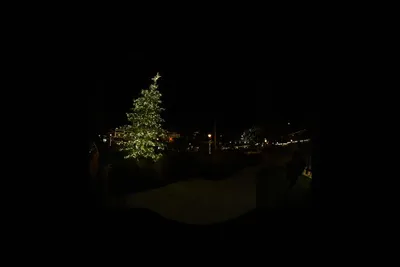 DSC_0017 (Large).JPG